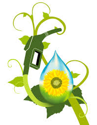 Biofuel -seminar