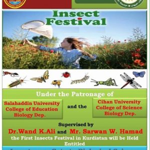 Insect festival
