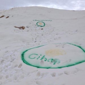 Logo of Cihan University on the summit of Mount Sven