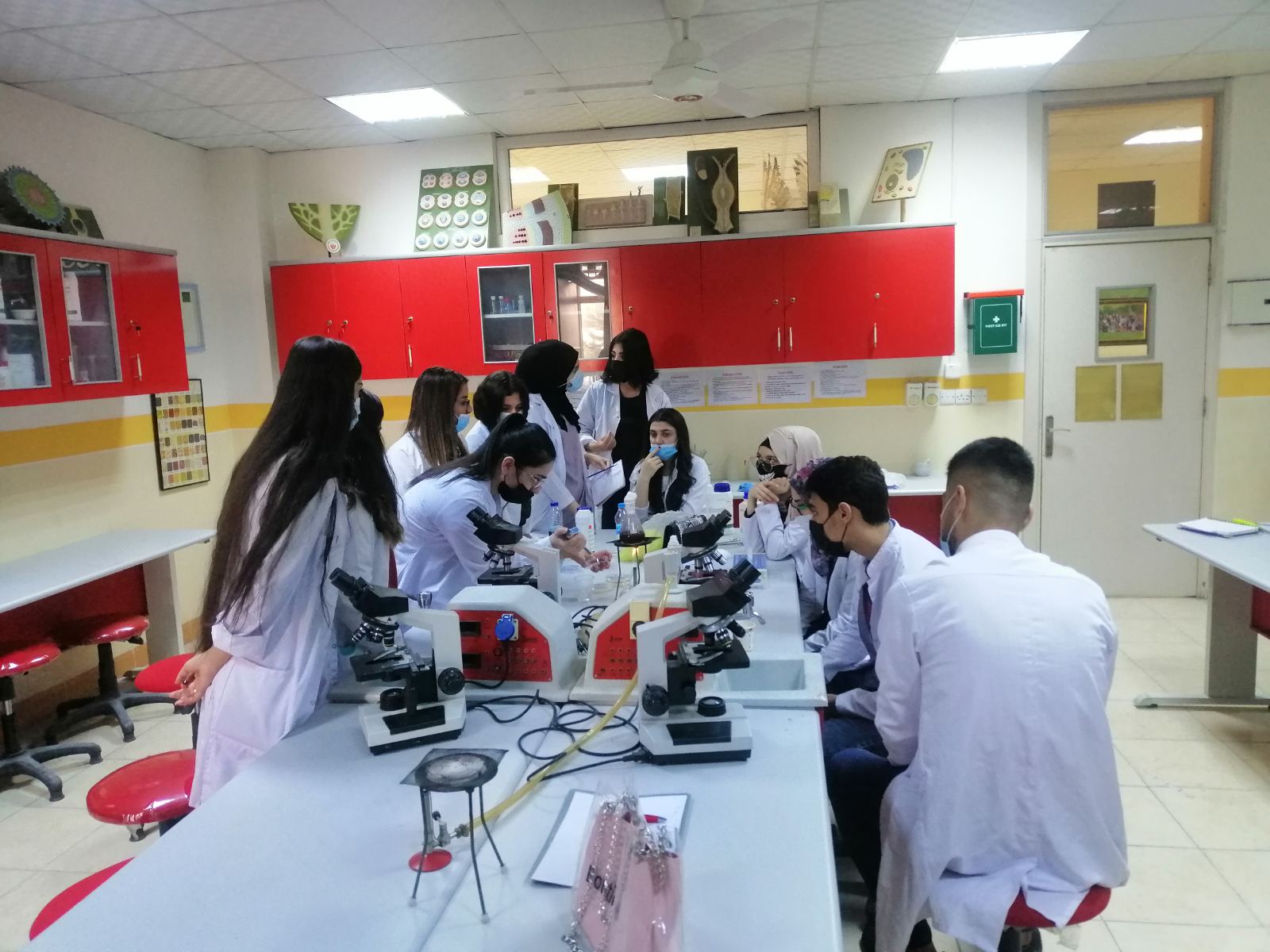 Practical training for students of the second and third stage on food safety test and inspections
