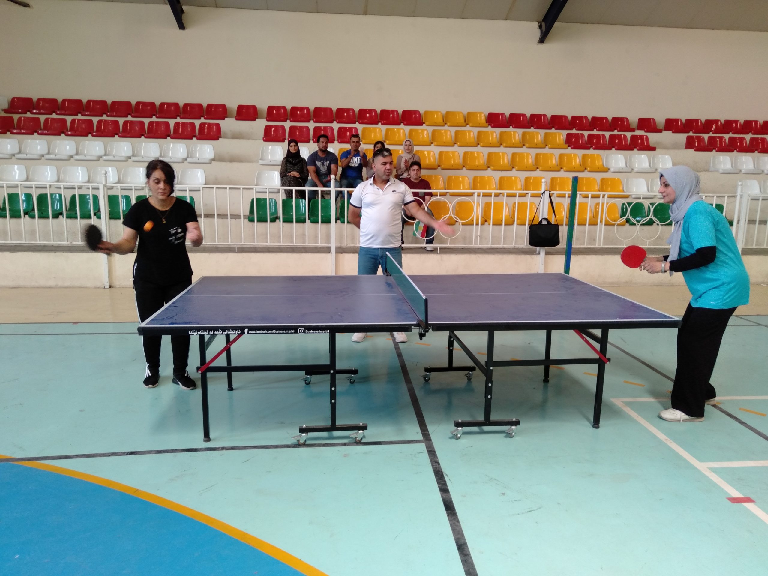 table for table tennis - Wikidata