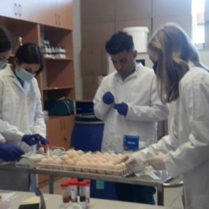 طلبة قسم العلوم الطبية الحيوية يكملون دراستهم ضمن برنامج إيراسموس بلس بنجاح