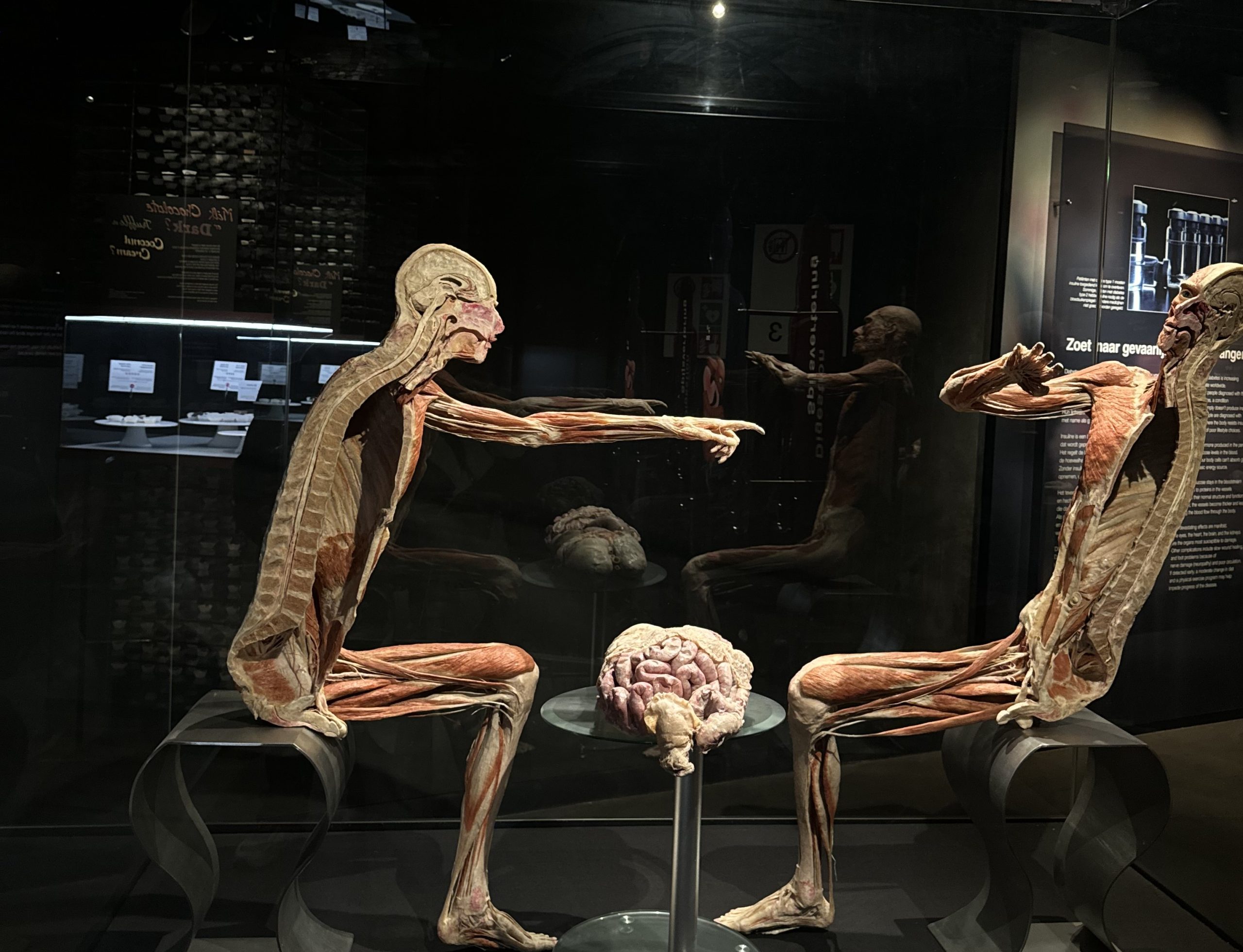 Cihan University-Erbil Students Visited Body Worlds Amsterdam