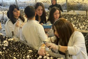 photo_2025-11-02_19-36-14