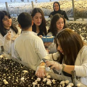 فێرخوازانى بەشى بایۆمیدیکاڵ ئەزموونی پراکتیکی لە چۆنیەتى چاندنی قارچک و دیاریکردنی ژەهراوییبوونیدا بەدەست دەهێنن