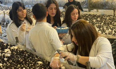 فێرخوازانى بەشى بایۆمیدیکاڵ ئەزموونی پراکتیکی لە چۆنیەتى چاندنی قارچک و دیاریکردنی ژەهراوییبوونیدا بەدەست دەهێنن