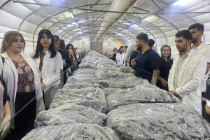 photo_2025-11-02_19-36-29