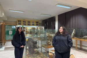 photo_2025-11-03_16-02-28