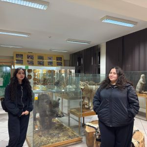 فێرخوازانی زانکۆی جیهان-هەولێر سەردانى مۆزەخانەی سروشتی (Lasu i Drewna) لە پۆڵەندا دەکەن