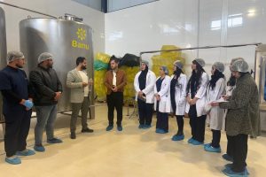 photo_2025-11-24_17-26-23 (3)