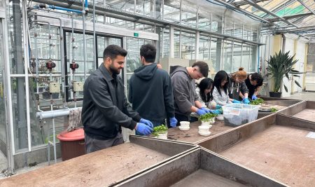 فێرخوازانی زانکۆی جیهان-هەولێر لە پۆڵەندا بەشدارییان لە کۆرسێکی زانستیی تایبەت  بە ڕووکناسى دەکەن